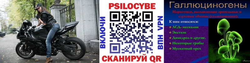 Галлюциногенные грибы Psilocybine cubensis  omg как войти  Орехово-Зуево 